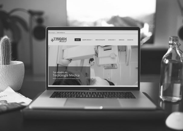<h2>Tridex Medical</h2><p><font size='4'>Página Web y CRM Adtvo.</font></p>